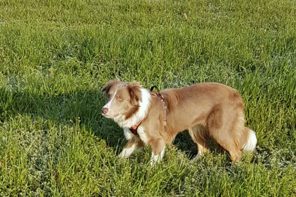 Penny'Lann