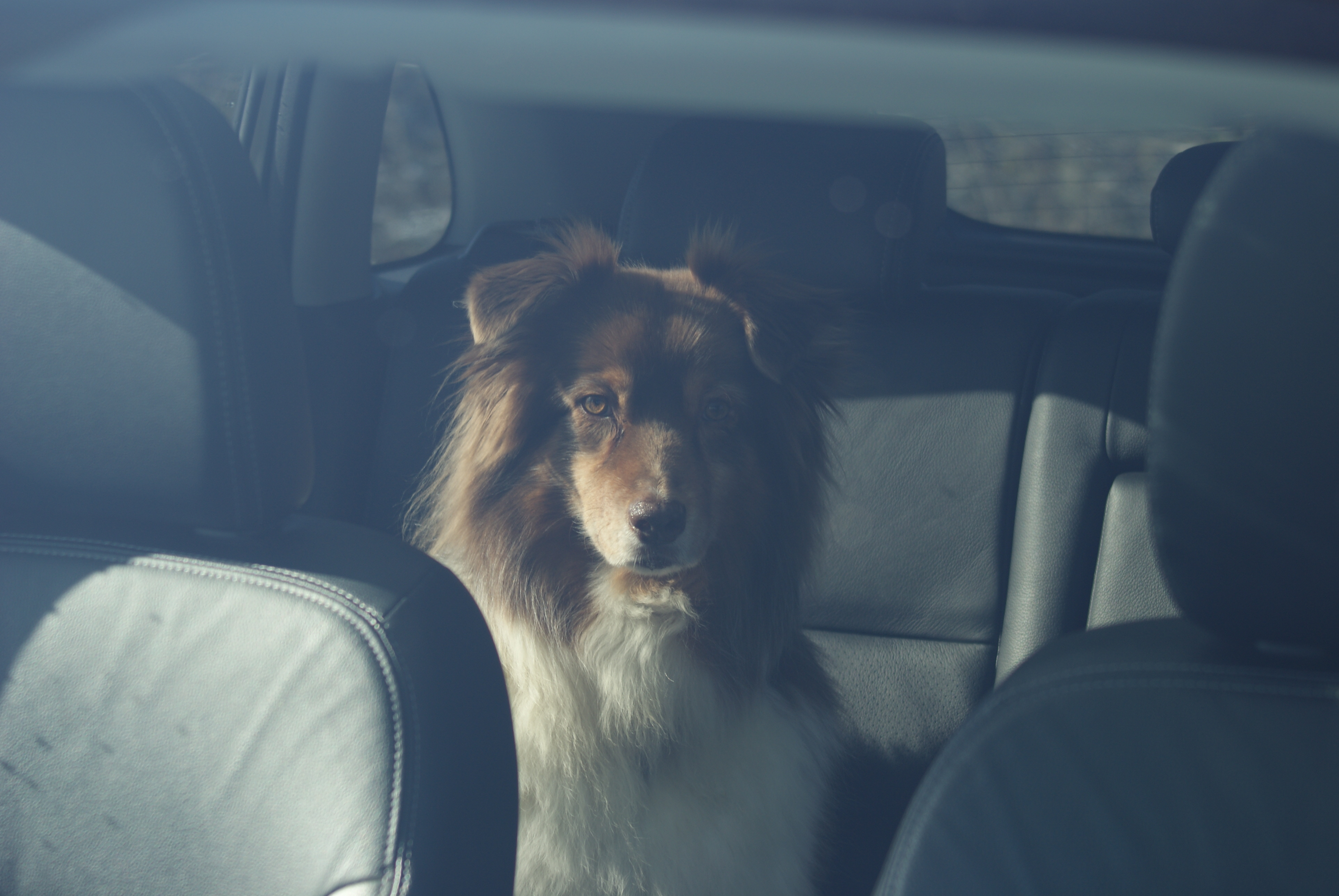 Comme il avait neigé, on a pris la voiture et on est allé à Hautefort