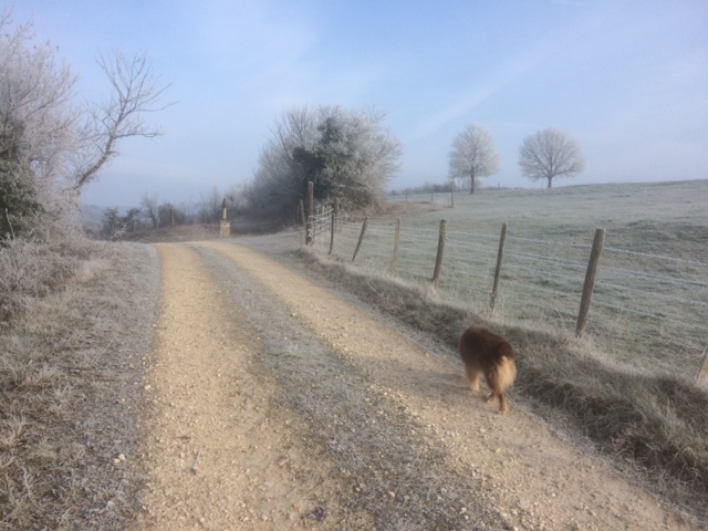 promenade matinale