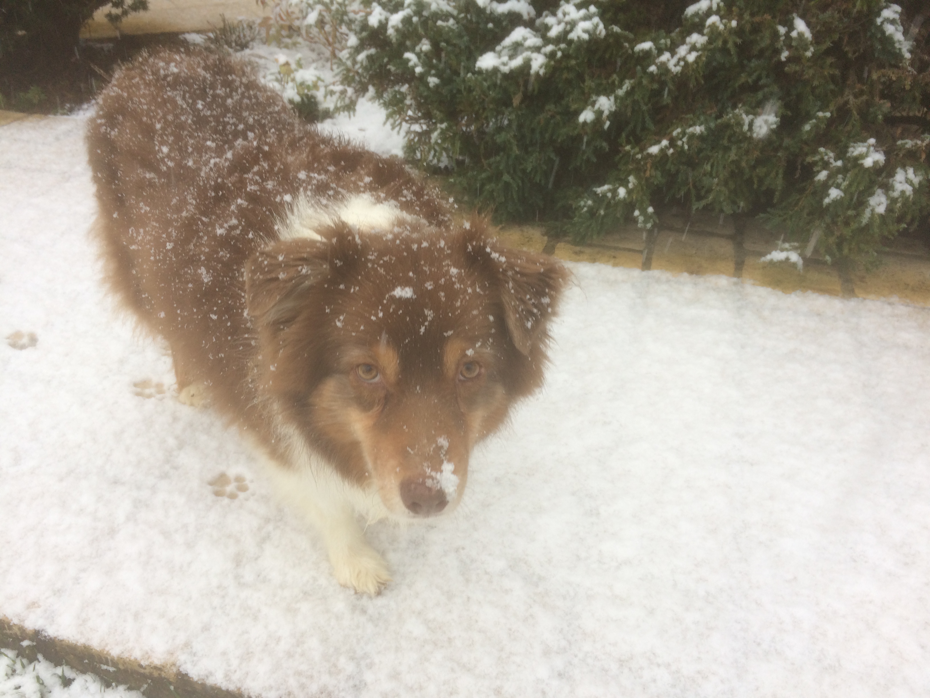 ET MAINTENANT LA NEIGE!